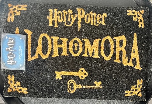 Harry potter door - harry,