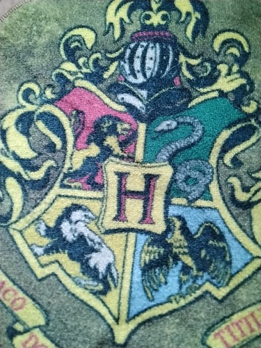 Harry potter hogwarts rug - hogwarts,